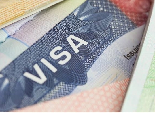 Trump prepara revocación de hasta 200,000 visas por solicitudes de asilo